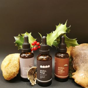 Lion's mane, turkey tail and birch polypore tinctures trio