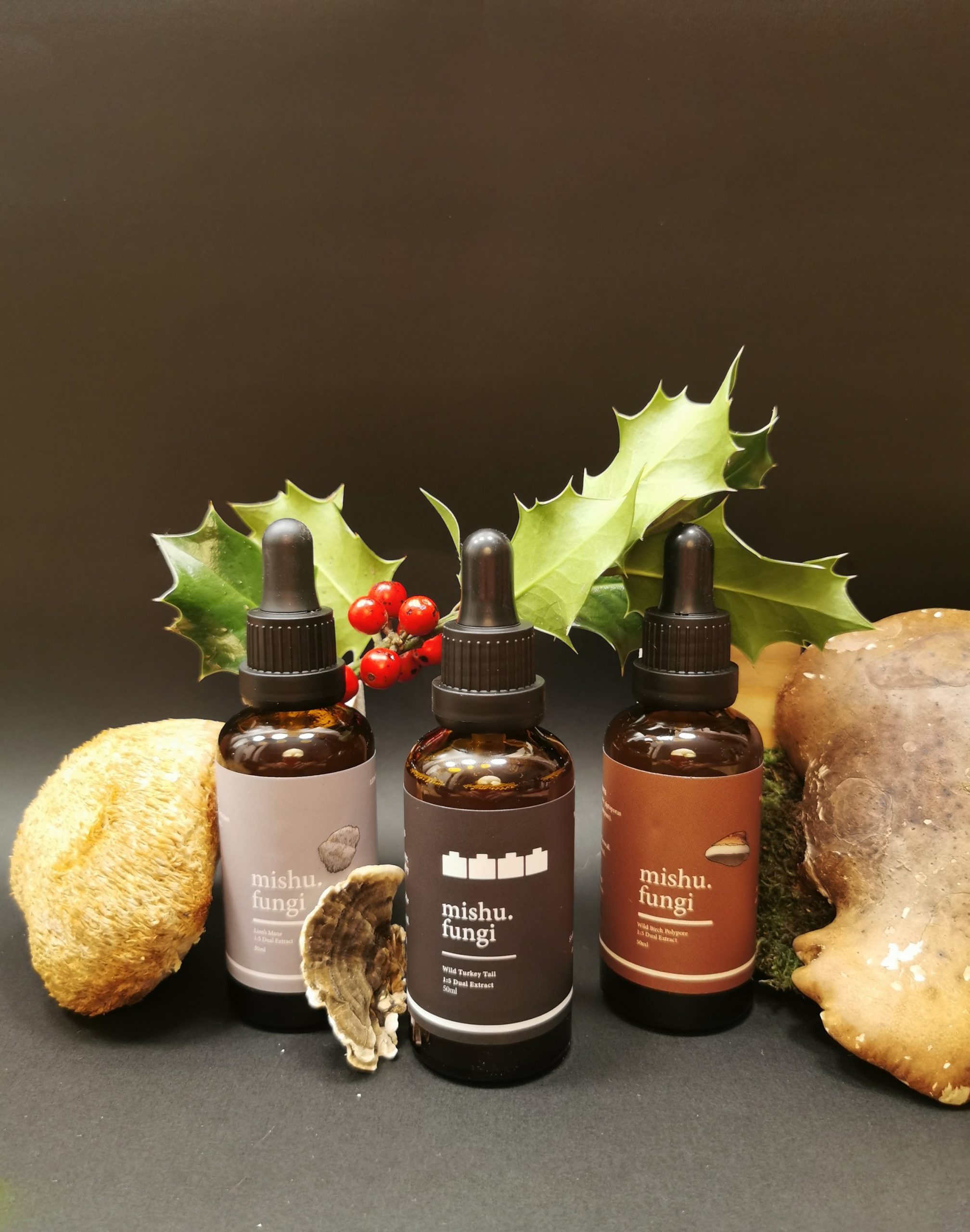 Lion's mane, turkey tail and birch polypore tinctures trio